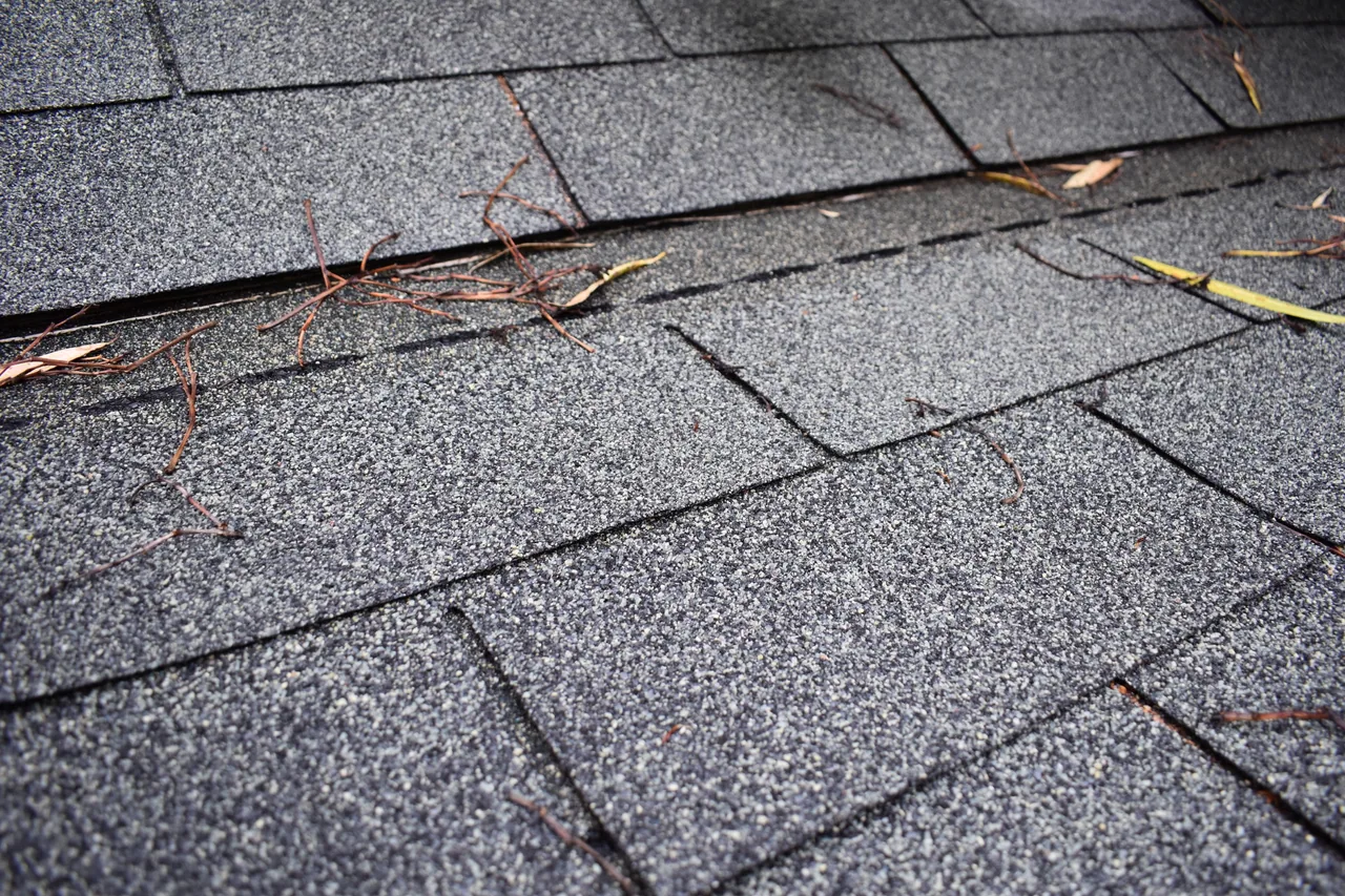 Close view of gray asphalt shingles on a roof